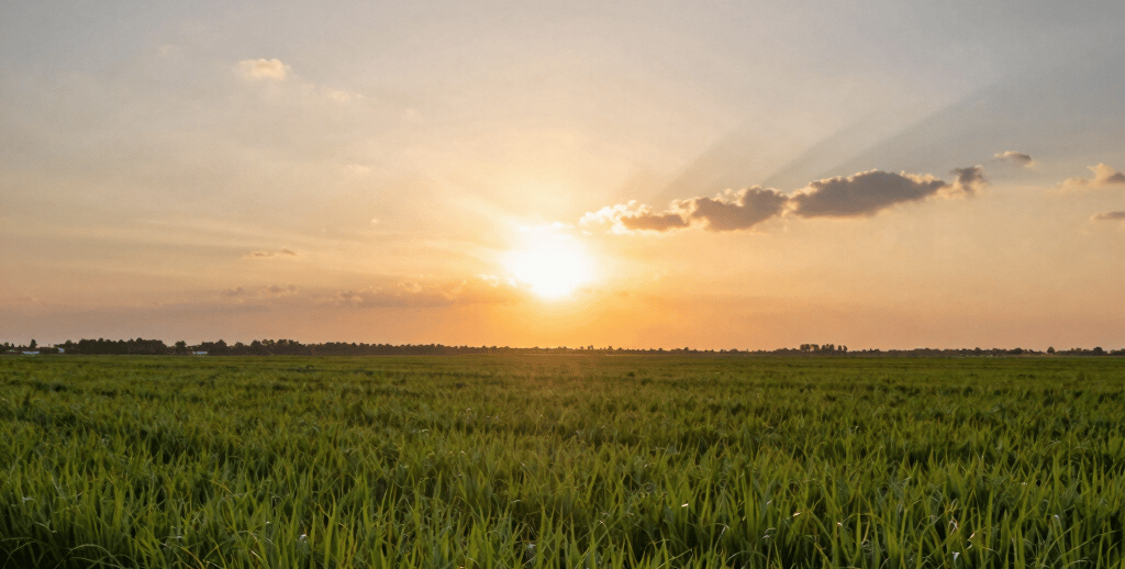 a man riding a skateboard down the side of a ramp