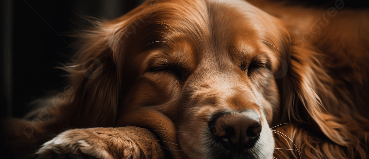 perro durmiendo generada por AI