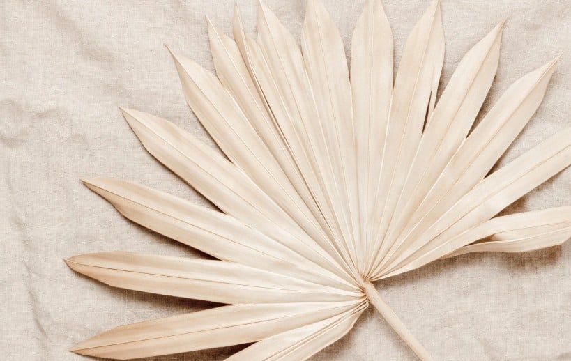 Approche globale et douce en naturopathie et viniyoga