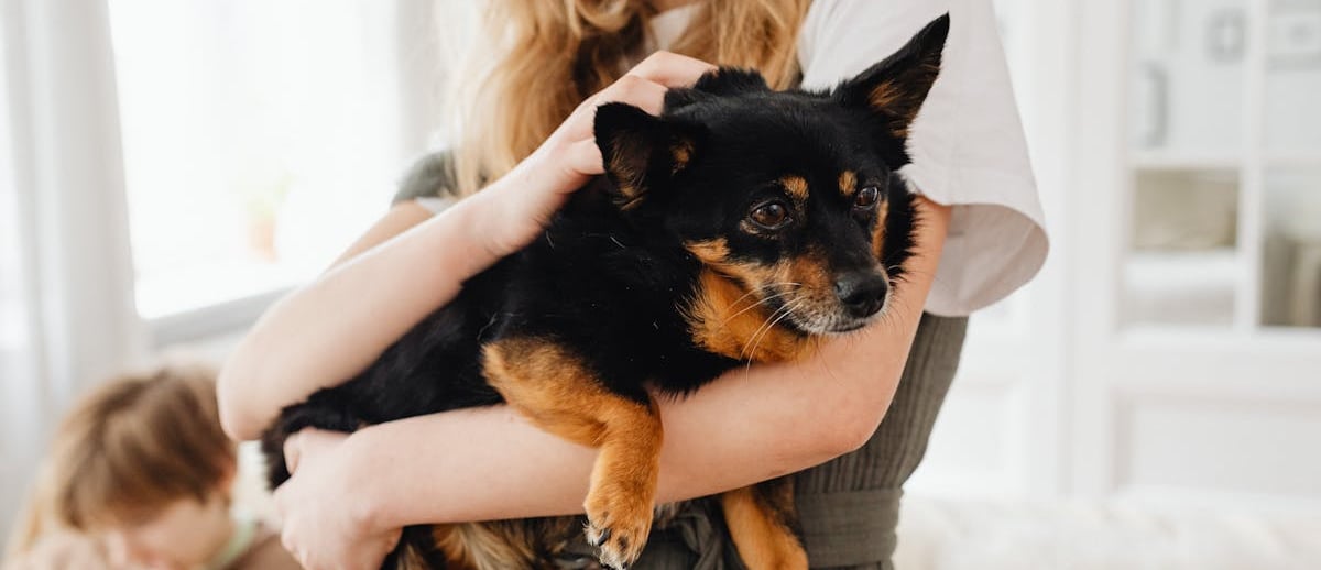 A blonde woman holding a dog