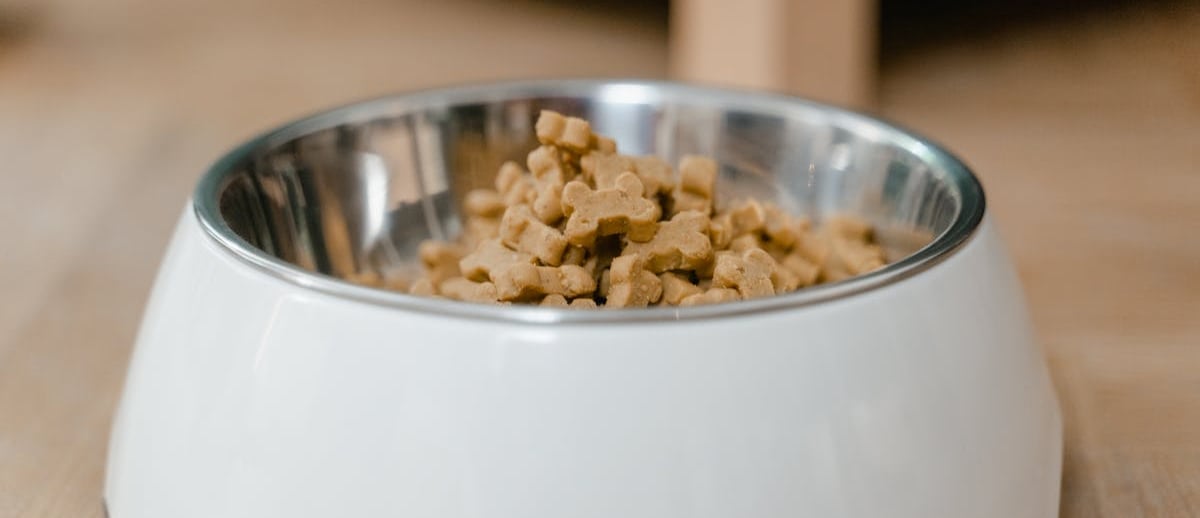 A bowl of pet food