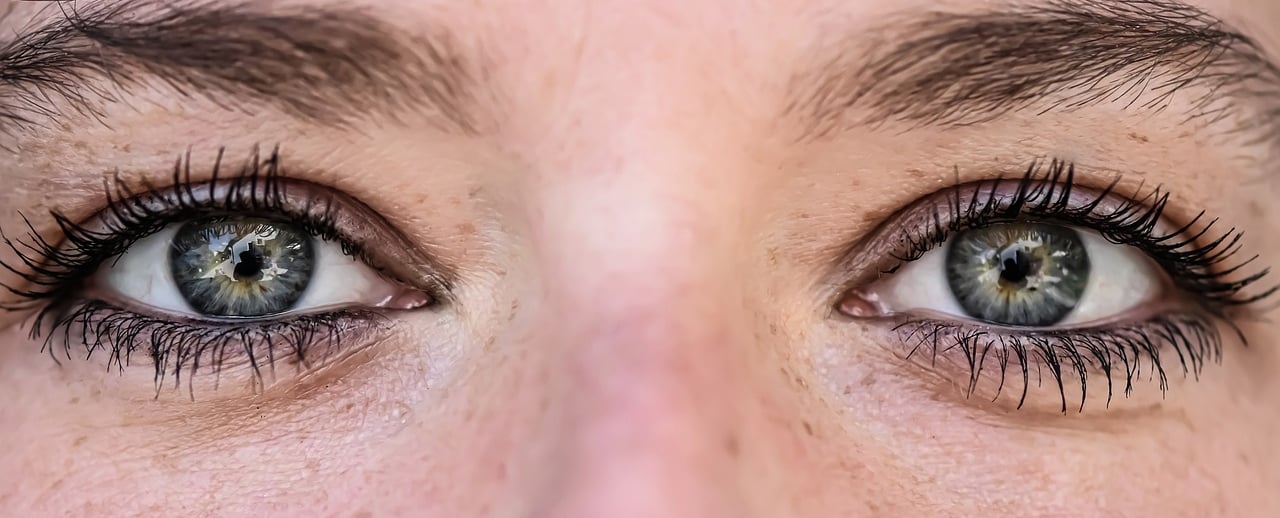 Thérapie EMD sur Plélan le grand 35380