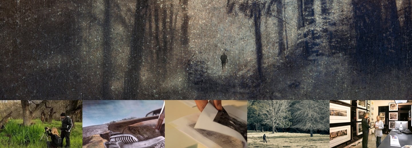 Fine art photography courses cover artistic landscapes, creative techniques, and professional exhibitions.