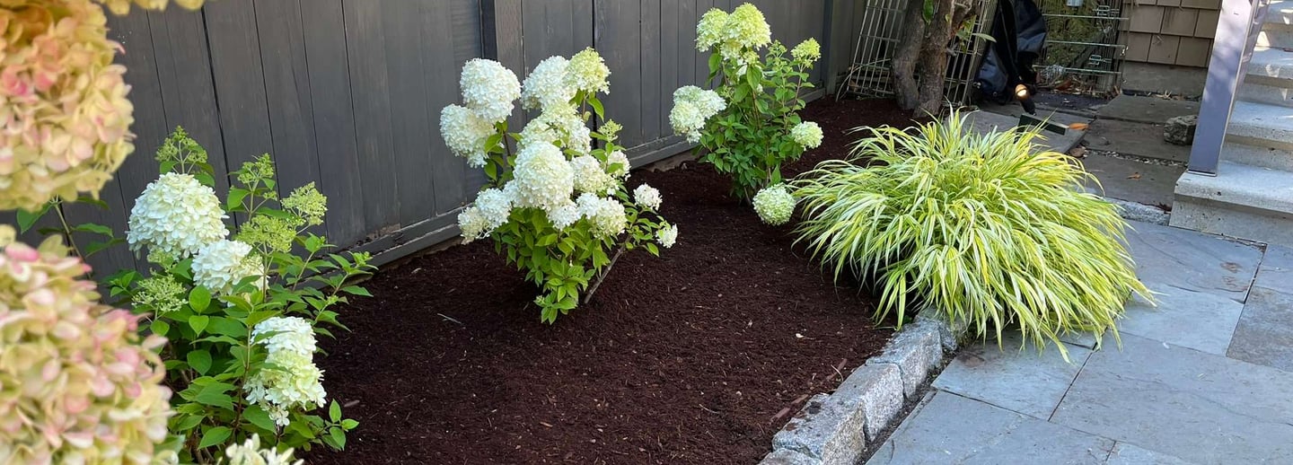 Mulched Garden Bed