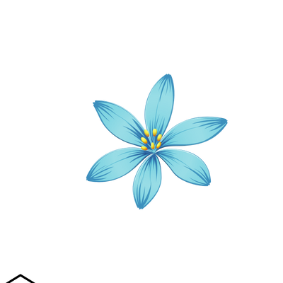 Best spa in Chennai - Macro spa at ECR