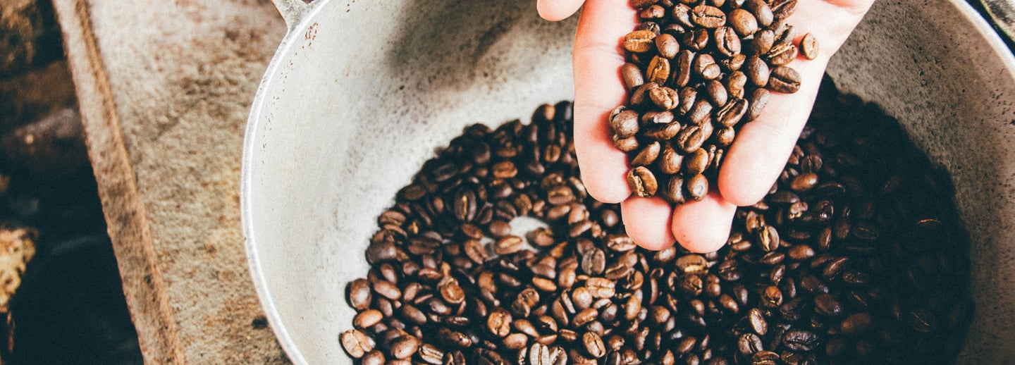 Finca cafetalera en Oaxaca, cultivando café artesanal con prácticas sostenibles.