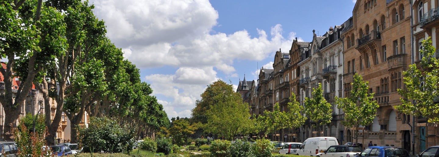Vue de l’avenue Foch à Metz, bordée d’immeubles élégants et d’arbres imposants, avec son terre-plein central fleuri et verdoy