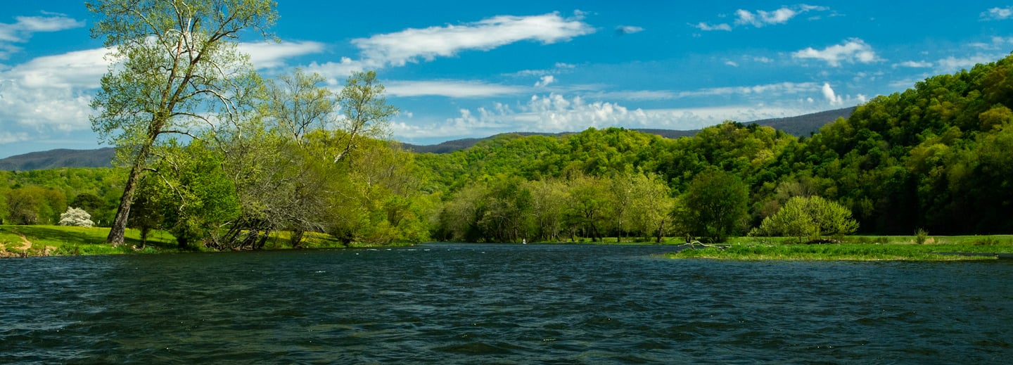 Late spring on the South Holston River.