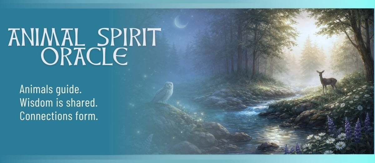 Animal Spirit Oracle banner showing a misty twilight forest with a flowing stream, standing stones,