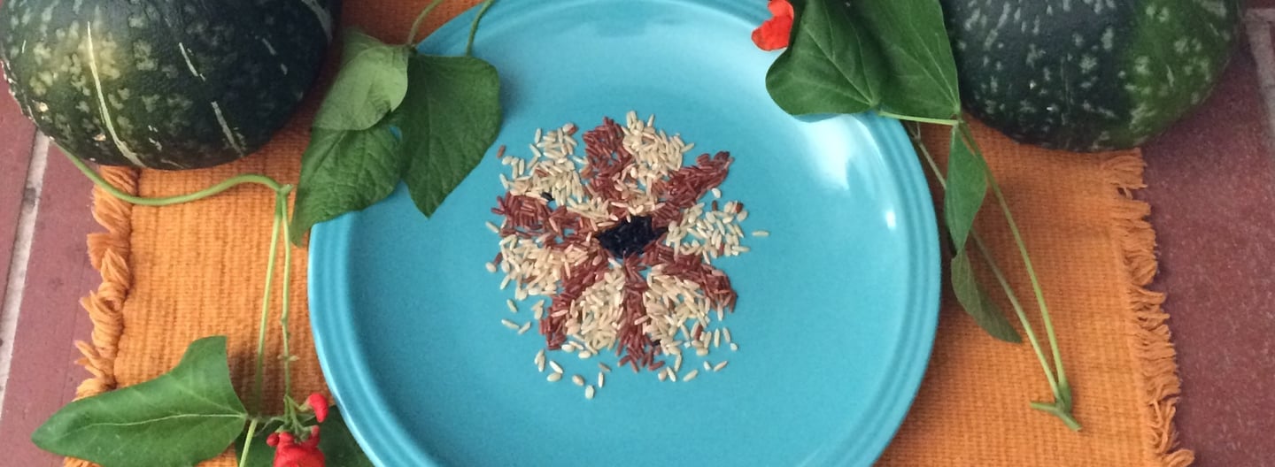 a mandala of grains arranged on a ceramic plate and kabocha squash on either side of the plate
