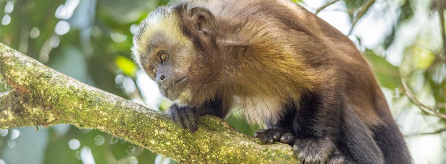 Tambopata Amazon Expedition 5 Days