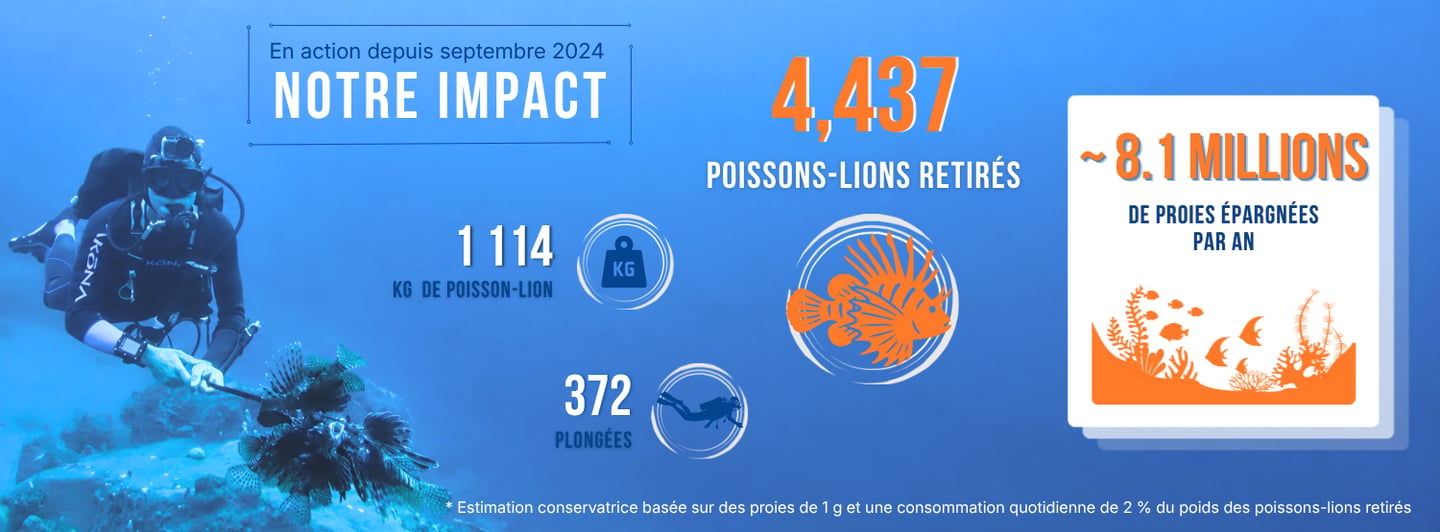 Résumé de l'impact des actions de TTT
