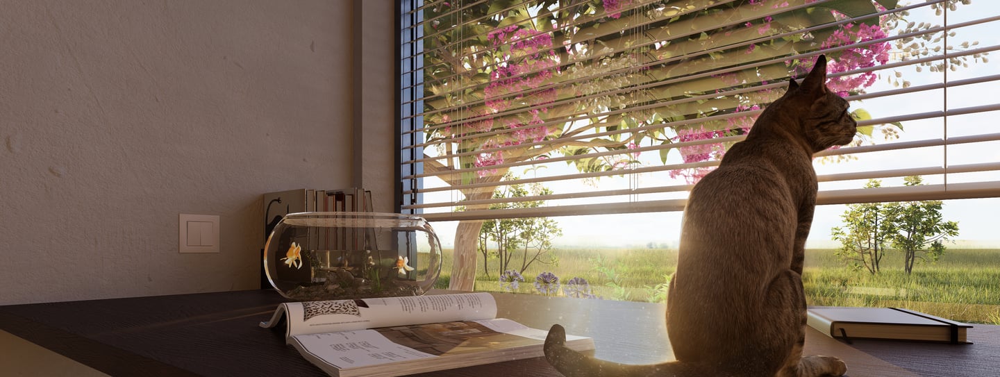 noon arq rendes contacto