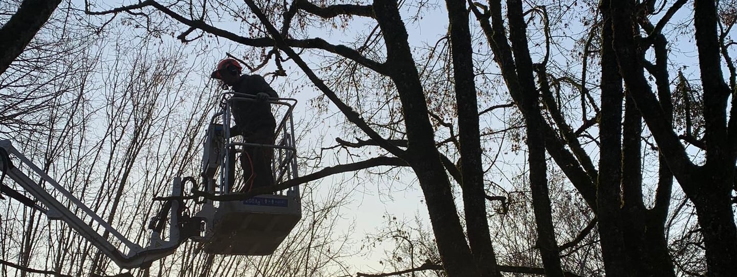 J. Landolt Gartenbau GmbH – Ihr zuverlässiger Partner für hochwertigen Gartenbau in Bülach 🌳