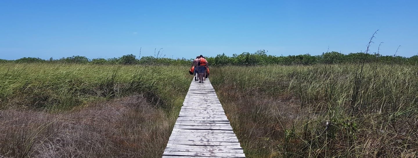 Camino magico a la laguna