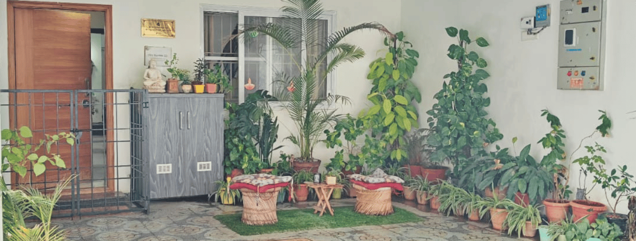 Our plants always the first one to greet you | Dog Homestay Boarding