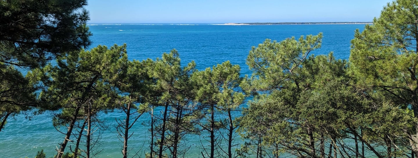 Atlantic ocean, beach, pine trees from La Corniche