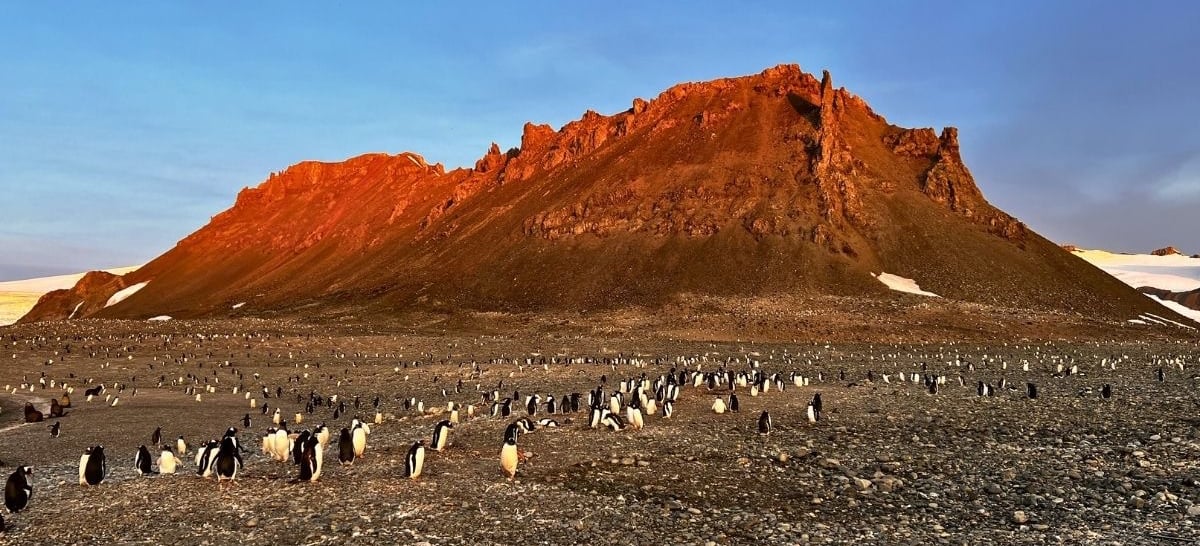 A colony of Adelie penguins gathers on a rocky Antarctic beach below a sunlit orange mountain peak.