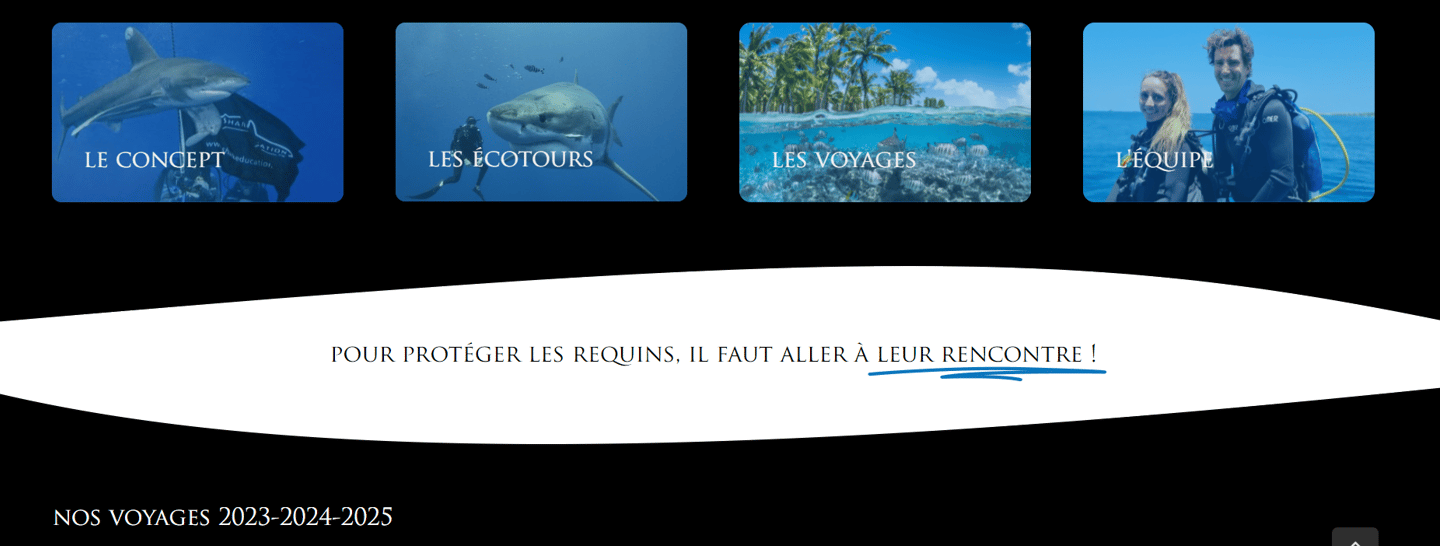 site internet de Shark Education voyages