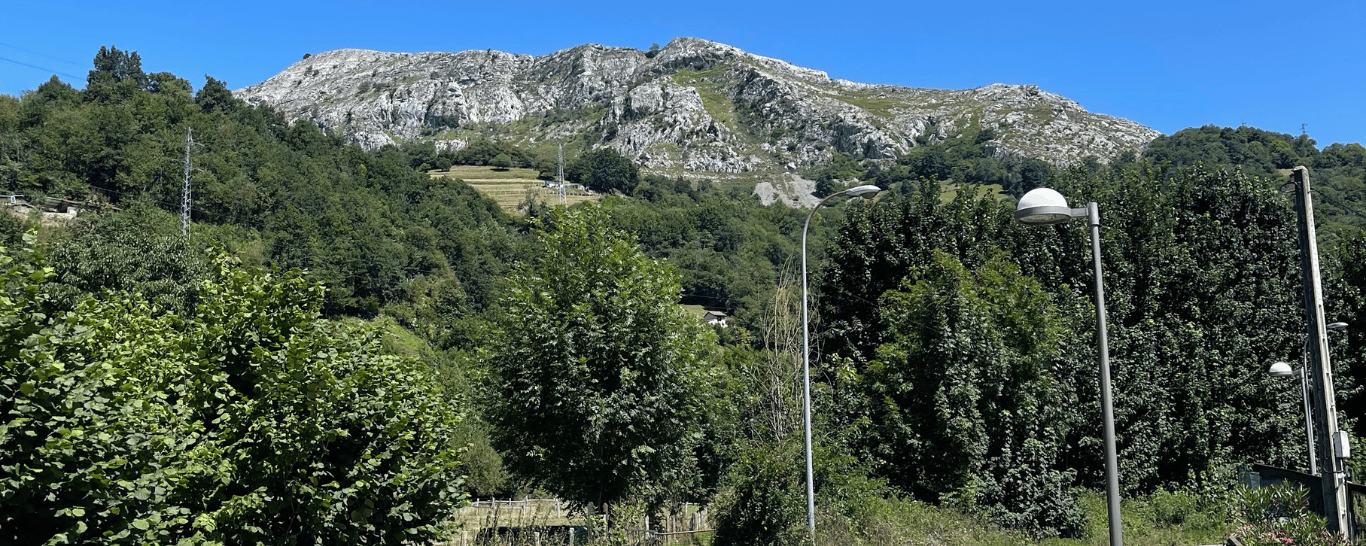 Casa Rural Salices 