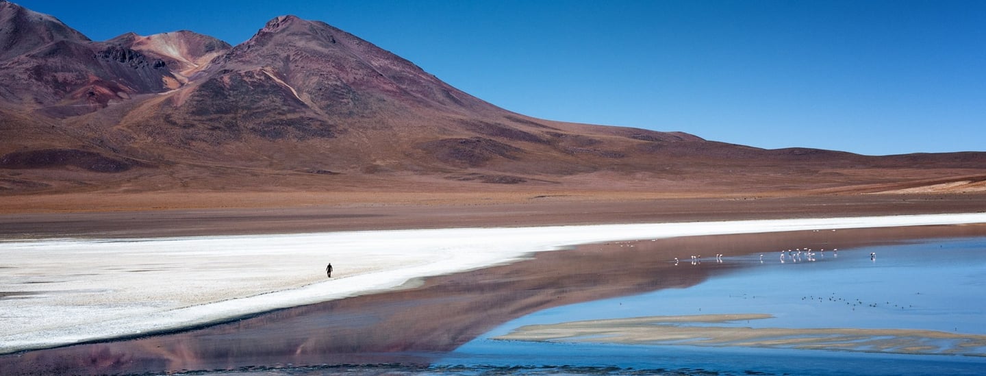 Homme seul et flamands roses près d'une lagune en Bolivie