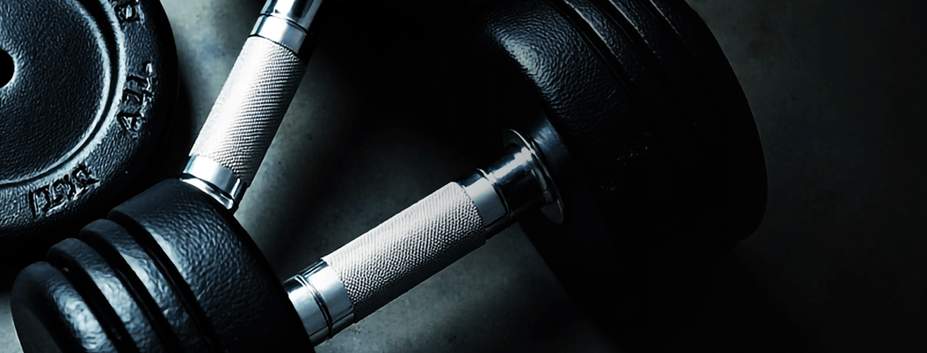 Como montar seu treino