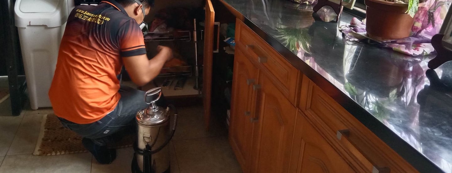 Jansen Pest Control technician performing professional pest control treatment under a kitchen sink i
