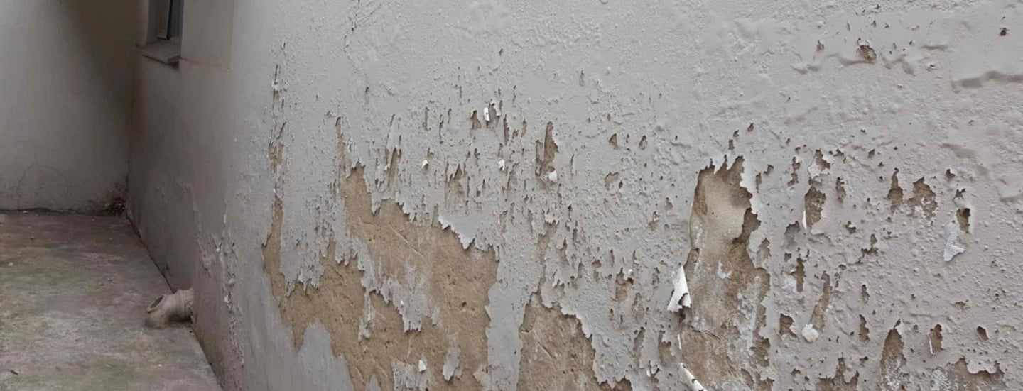Rising and penetrating Damp Randburg