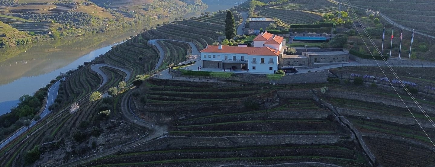 Vista do Vale do Douro com quintas e o rio