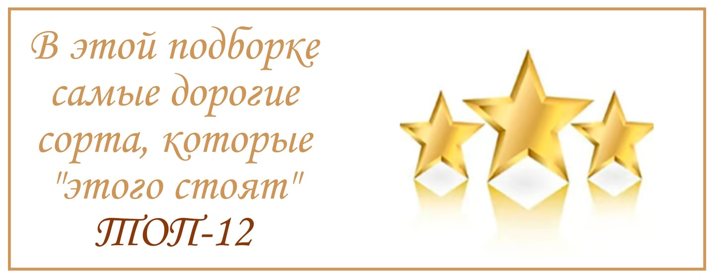 Самые дорогие сорта чая топ 12 онлайн магазин чая