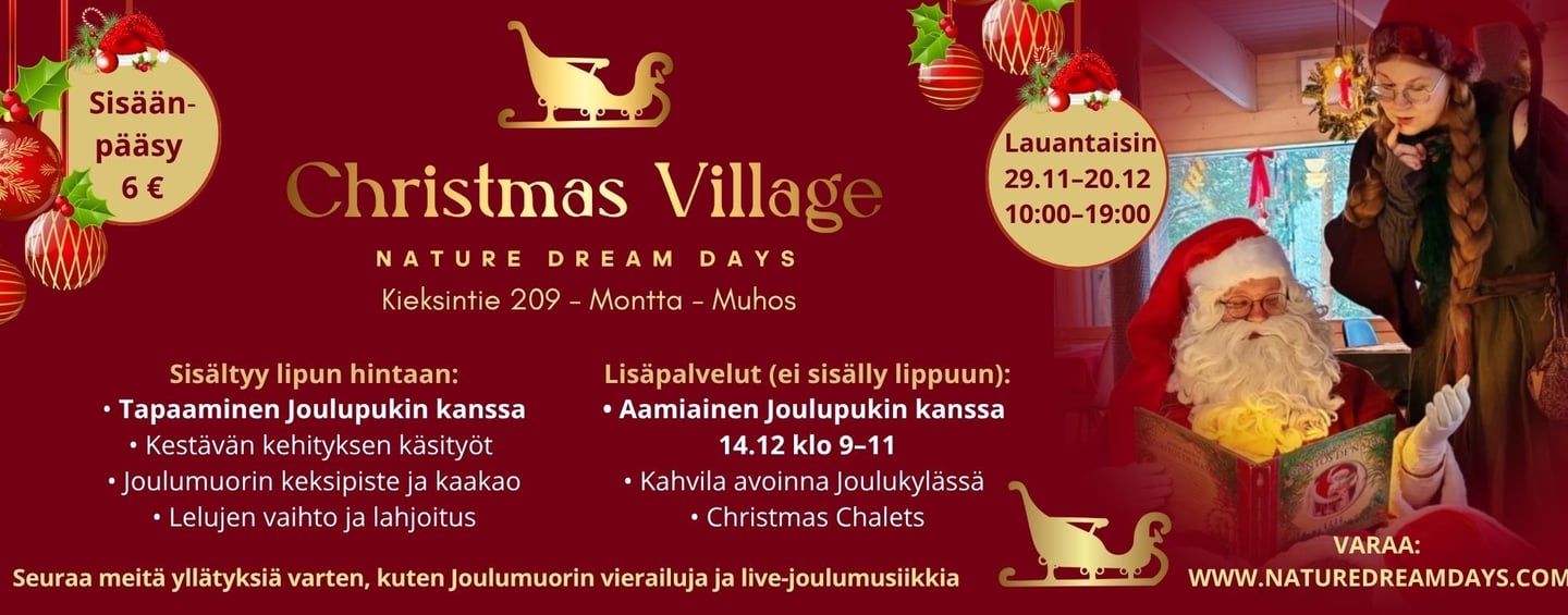 Christmas village aukioloajat