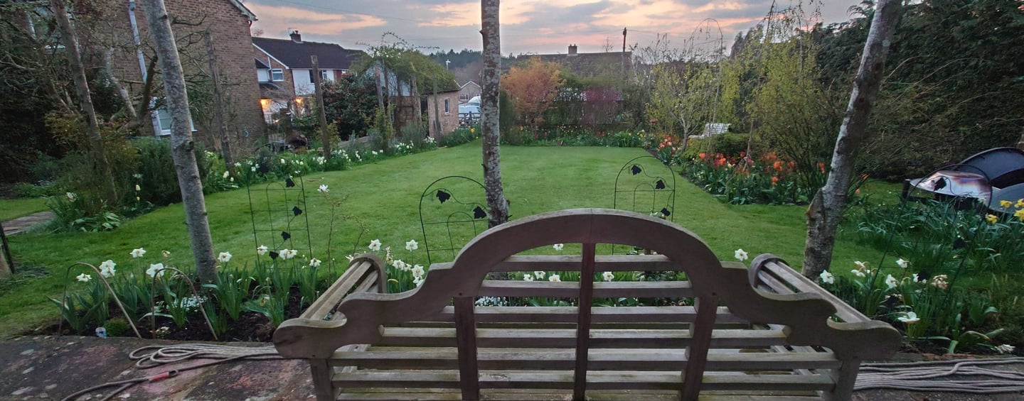 Daffodils and Tulips in flower beds around the edge of a square lawn