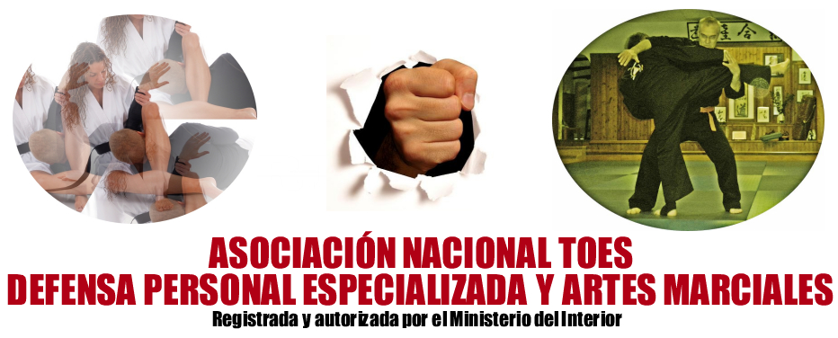 Asociación artes marciales-kick boxing