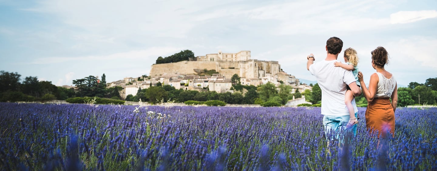 Champ de lavande du fabuleux village de Grignan près du mas de l'Enclos du Soleil le Vent