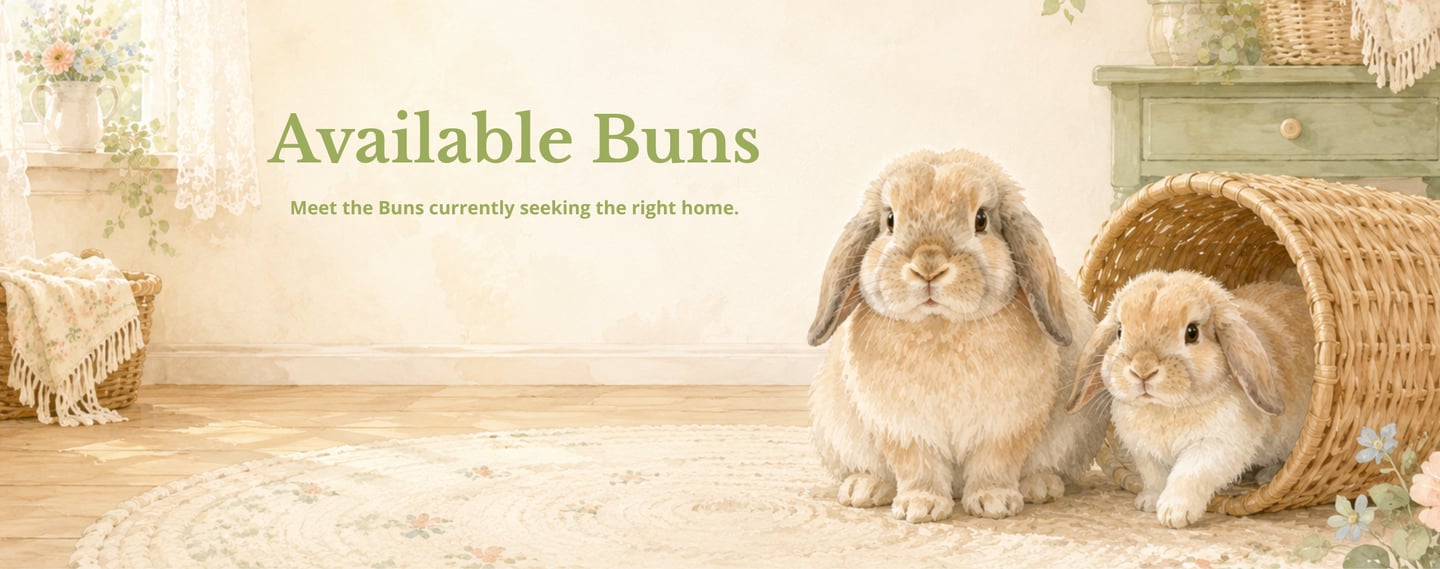 Hot Cross Buns' Available Buns Banner