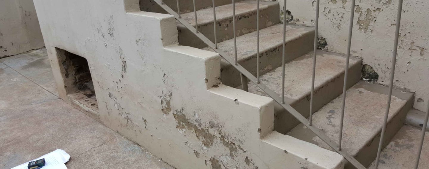 Damp Issues West Rand