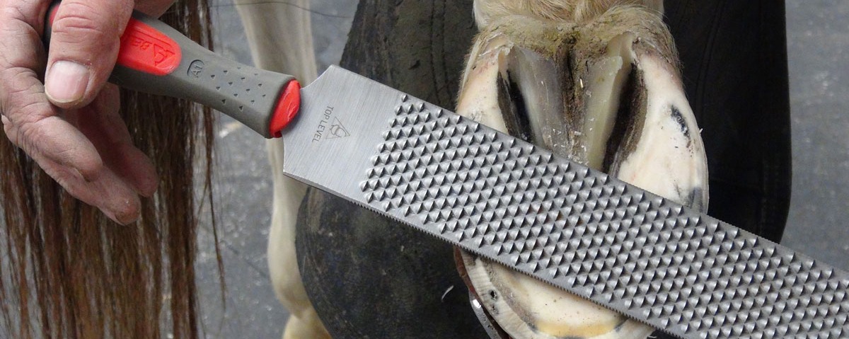 Farrier Bellota