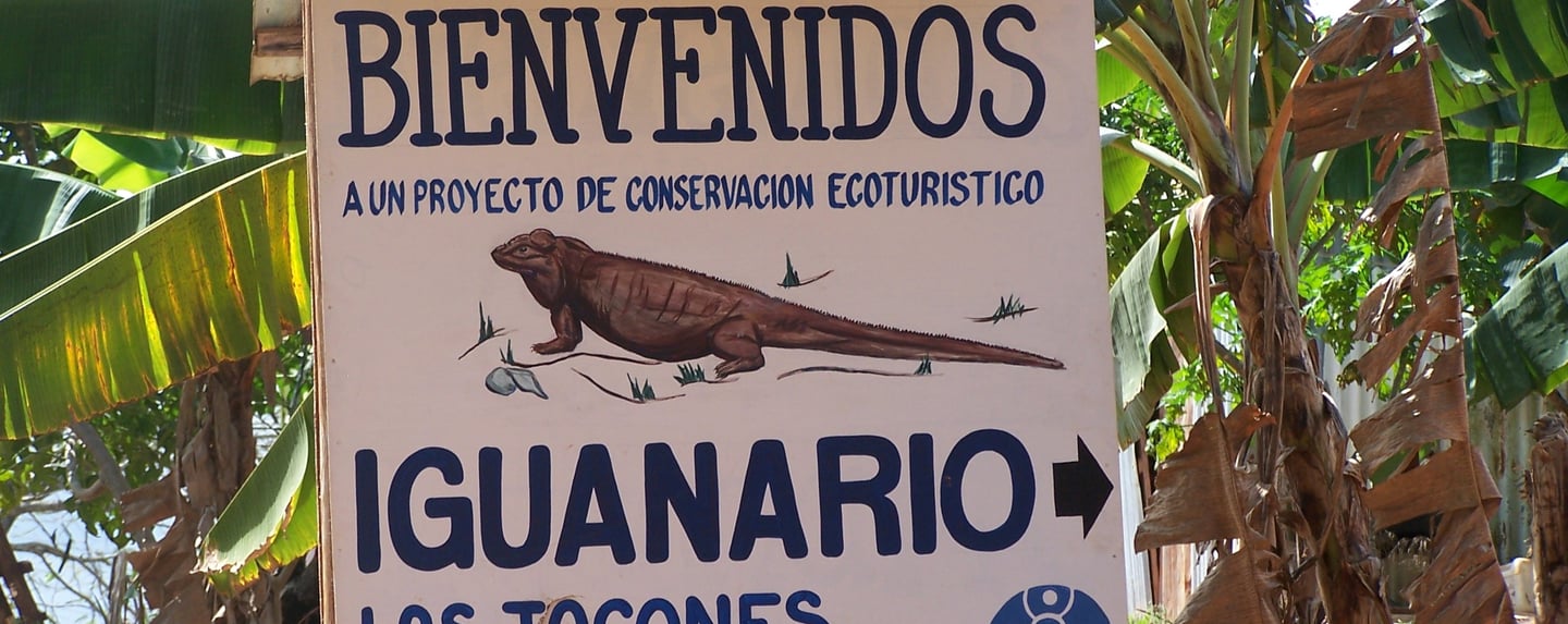 Welcome sign:drawn iguana center, "BIENVENIDOS" uppercase top;