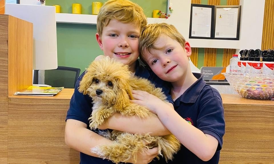 Kids with their dog after a grooming session
