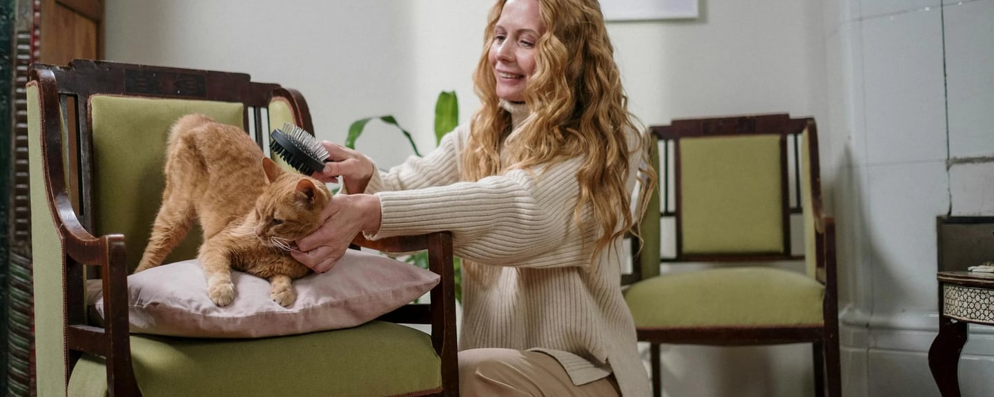 woman grooming a cat