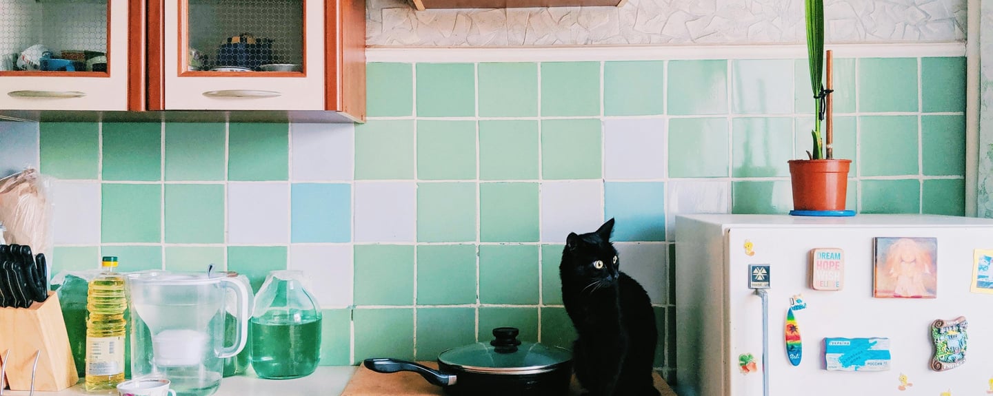 a black cat in the kitchen
