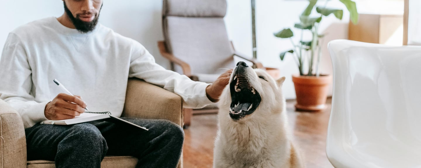 man writing Dubai's pet laws and regulations and cuddling his dog