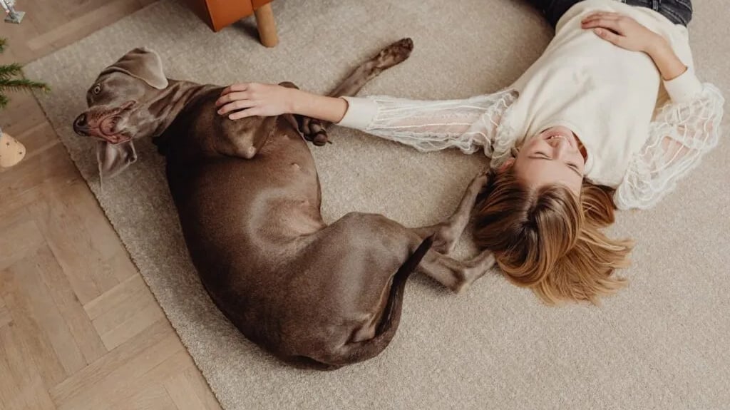 A woman on floor with her dog, thinking about skin disorders in dogs