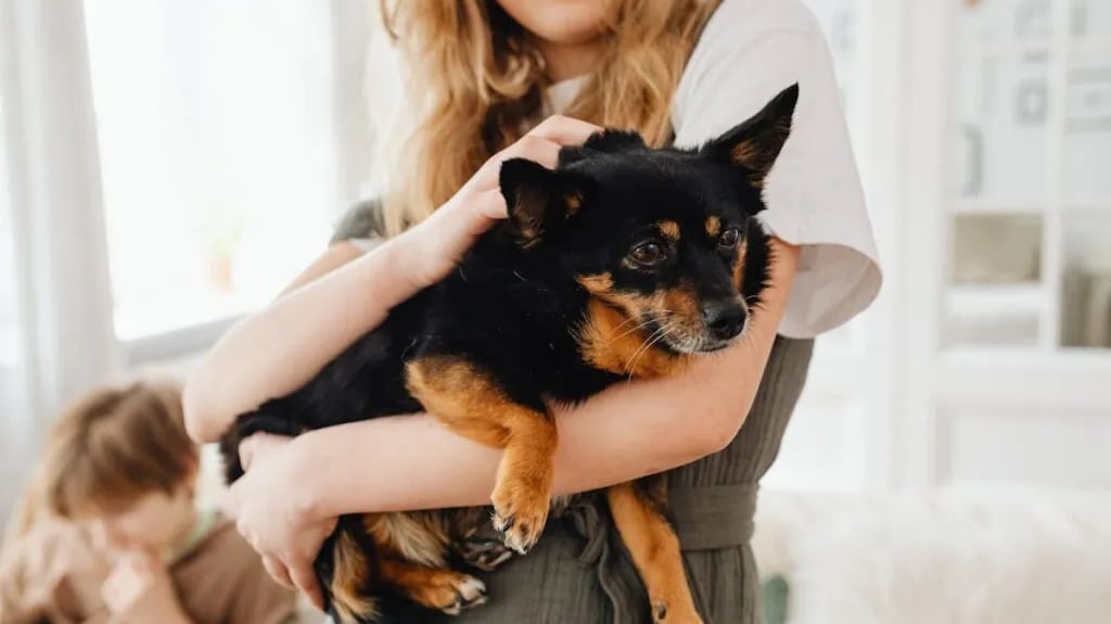 A woman holdong a black puppy