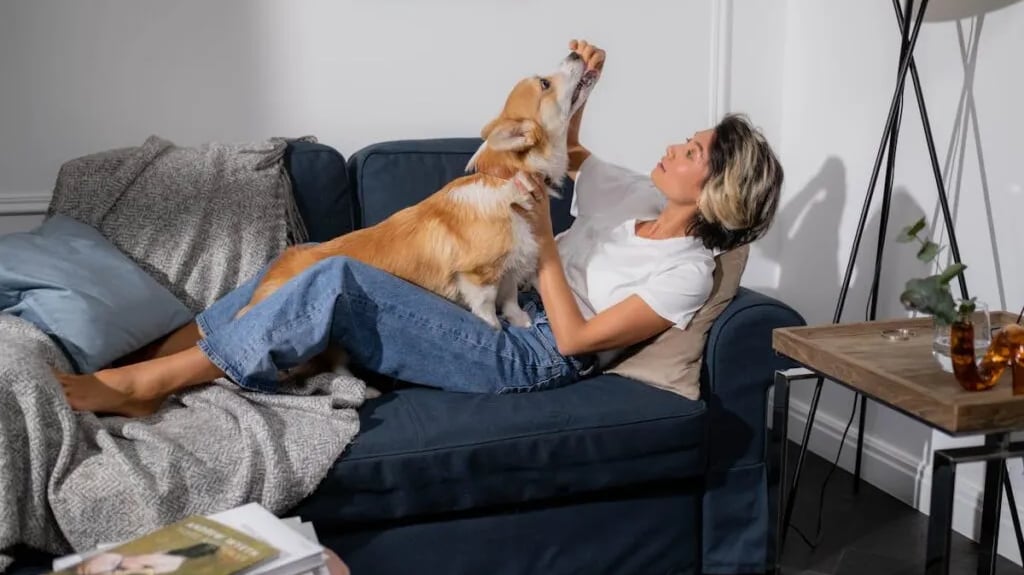 A woman lying on sofa while feeding a dog after reading about the reasons dogs shouldn't eat chocola