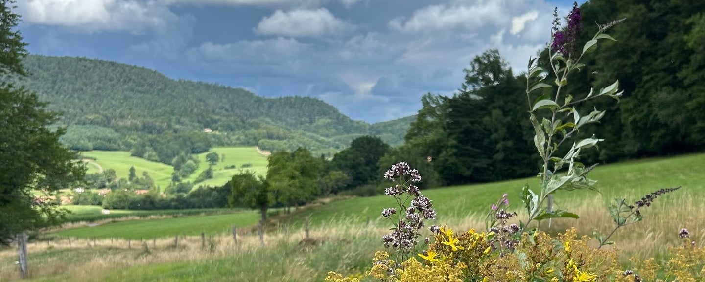 nature au gite la fortune dans les vosges