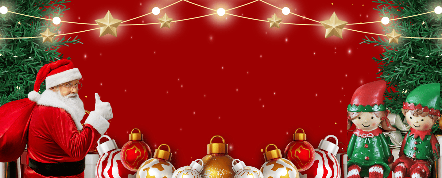 father christmas letters and visits