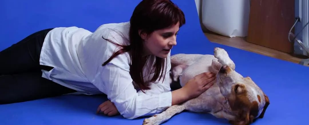 Mujer acariciando a un perro