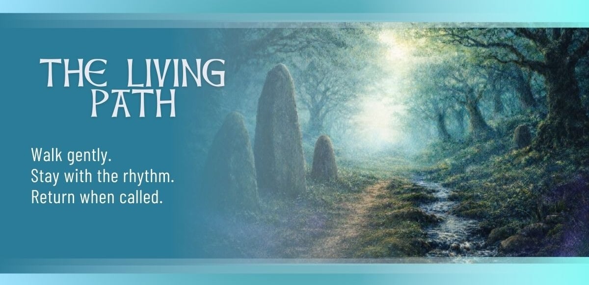 The Living Path banner showing a misty woodland path winding through an ancient forest with standing