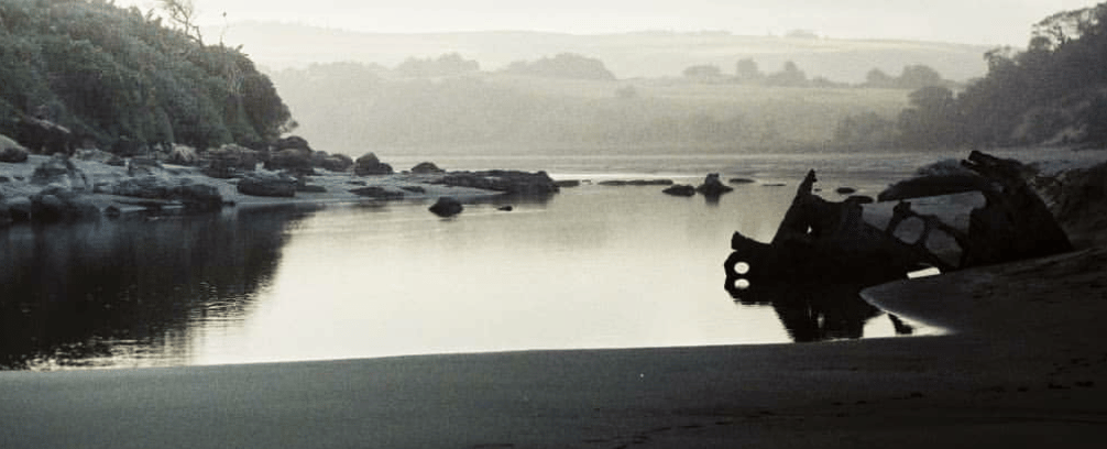 Misty Sikombe Estuary